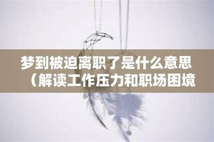 梦到离职了是什么意思