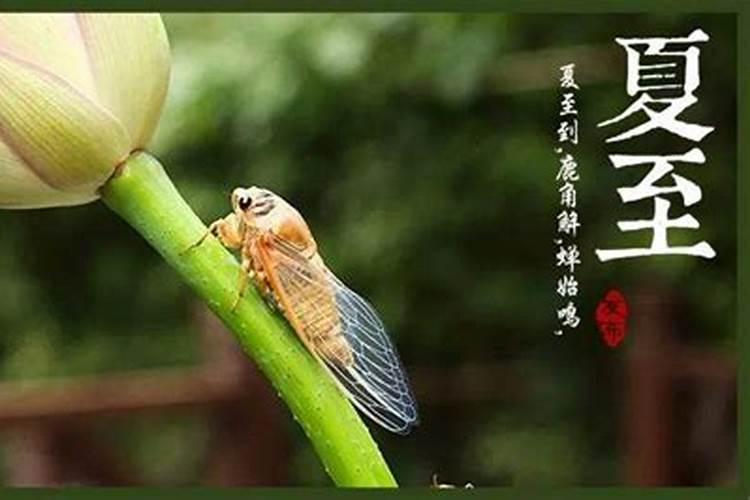 恩施重阳节风俗