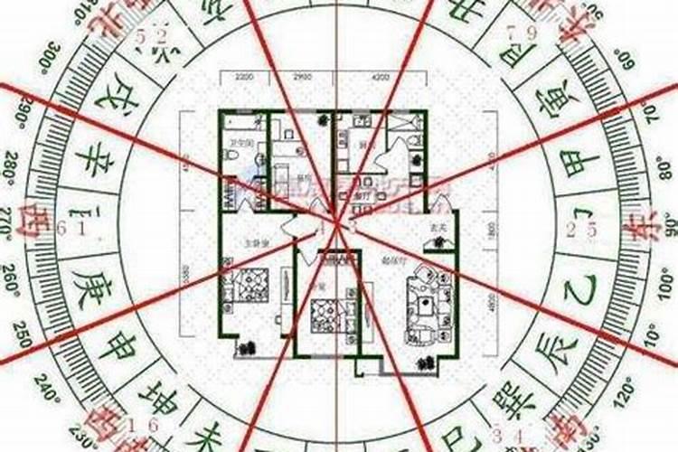 1971年出生的属猪人2021年运势