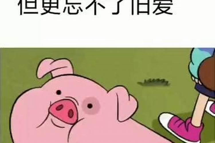 梦到前任是忘不了旧爱吗