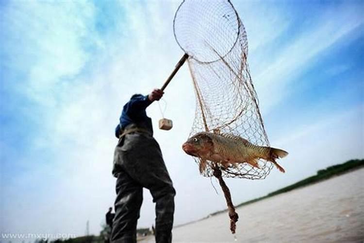 梦见捞鱼但是捞出来的重是死鱼就解答