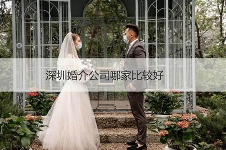 哪个婚姻网好