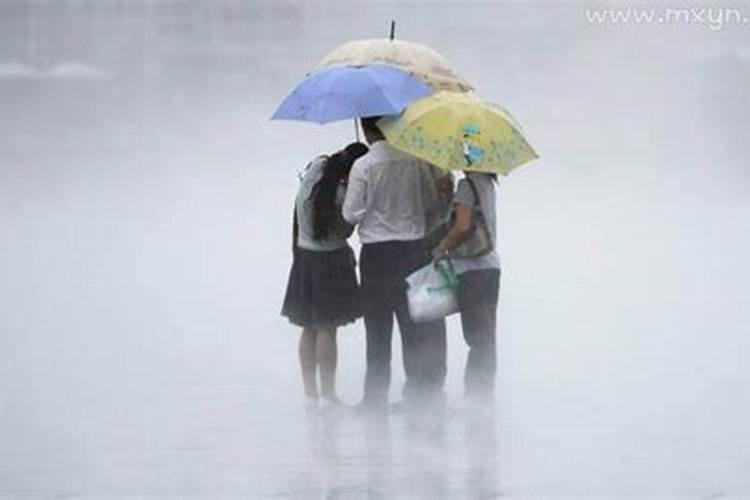 单身女人梦见下大雨是什么预兆