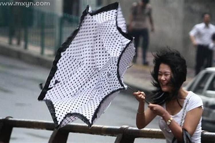 单身女人梦见下大雨预示什么