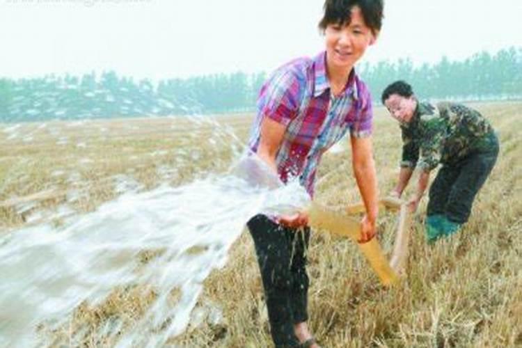 梦见别人一家死了是什么预兆