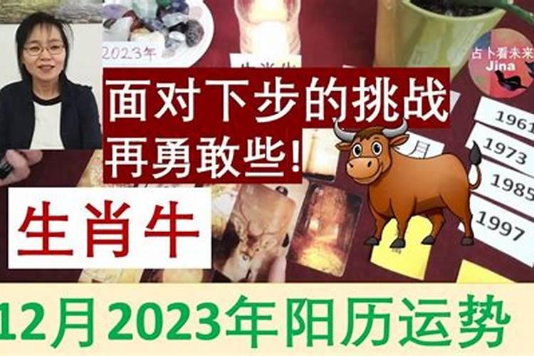 阳历2023年1月生肖运势如何看