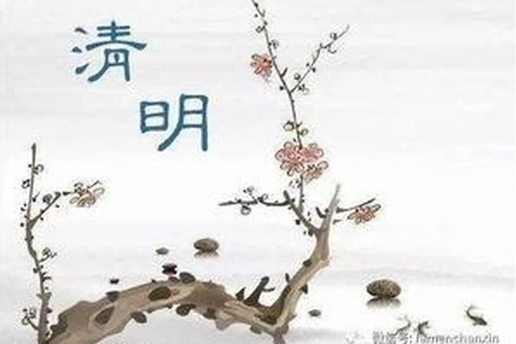 清明节祭祖一般什么时间