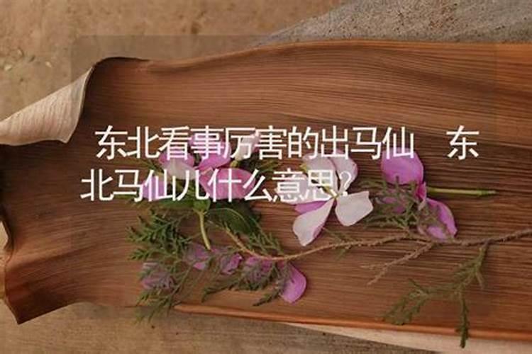 阴阳仙如何算出生辰八字和家庭情况