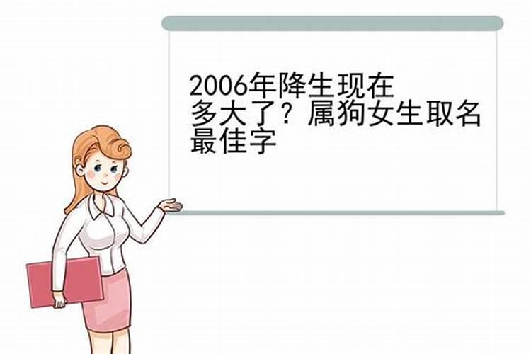 2006年属狗现在几岁啦