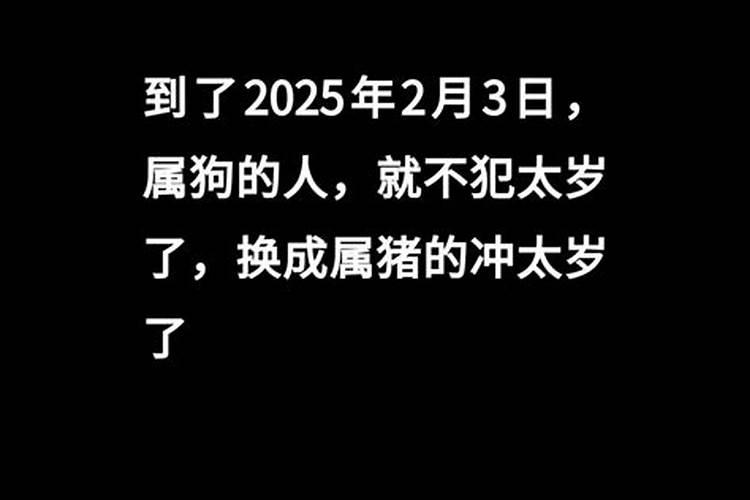 2006年的属狗的多大了