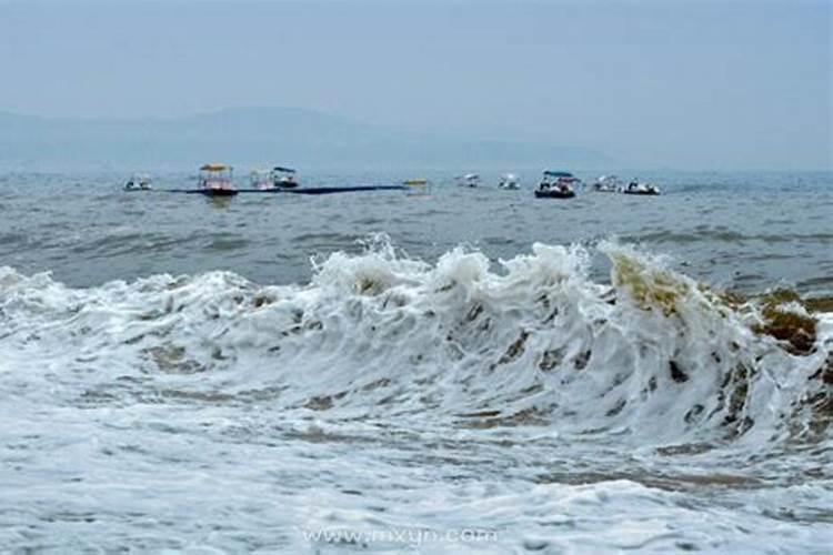 梦见大海海水冲湿自己