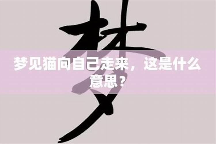 梦见美女向自己走来啥意思