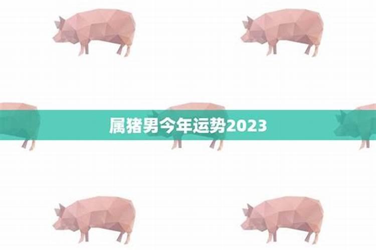 猪和兔夫妻今年2023运势