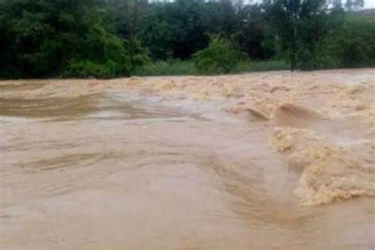 梦到下雨满路都是水