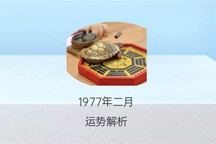 1977年农历十月初七生人运势