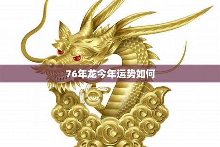 76年的龙今年财运怎么样