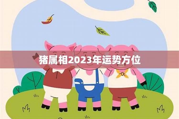 猪的属相2023年运势