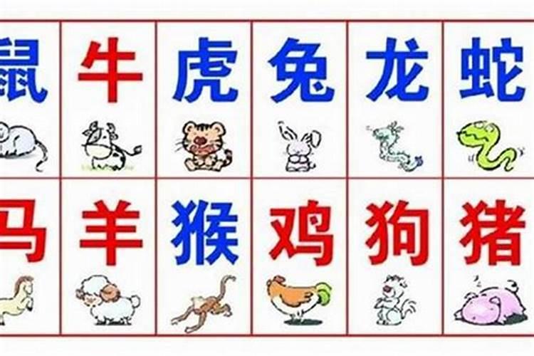 合八字算姻缘怎么算的