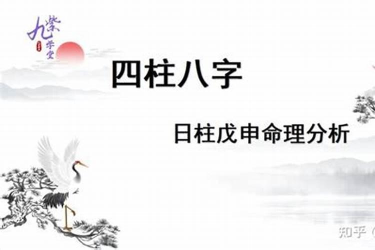 生辰八字中戊申是什么意思