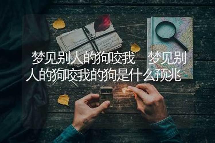 梦见别人的狗咬我的狗是什么预兆解梦