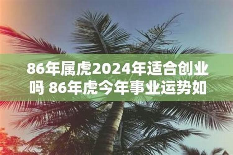 属虎的2021年创业