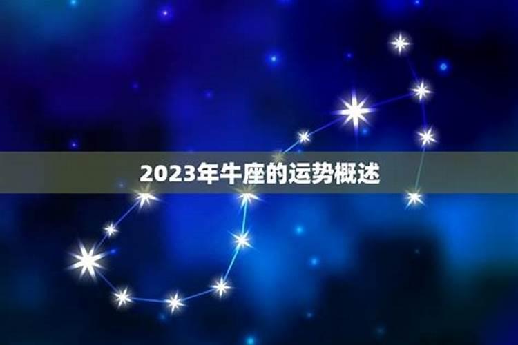 生肖牛的运势2020