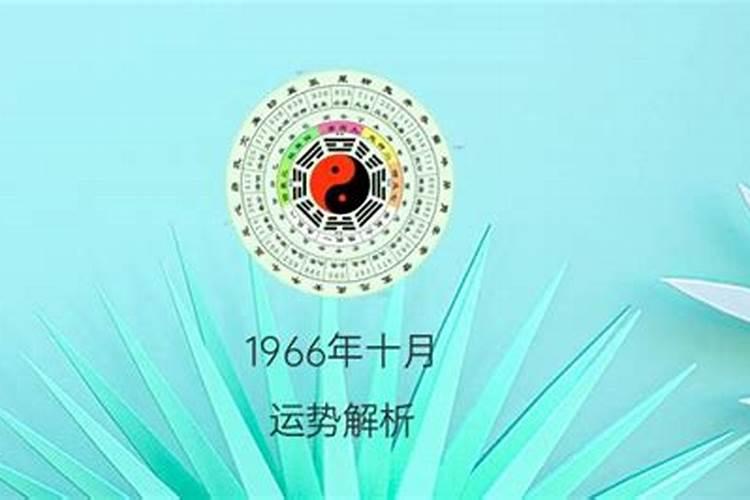 1997年农历十月二十一出生的运势