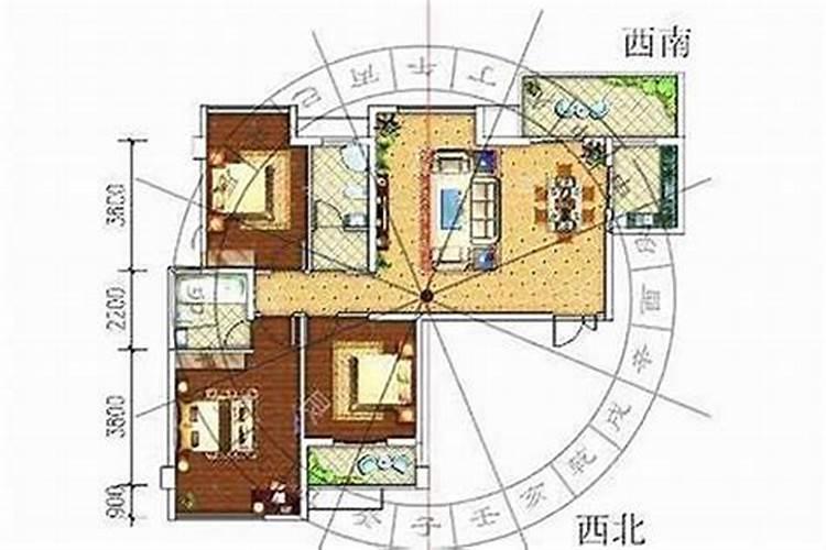 属马的2023年3月份运势如何