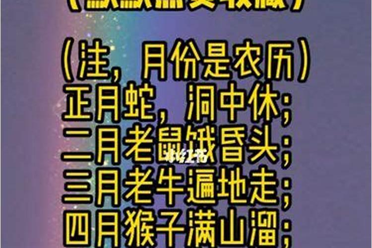 十二属相命犯九眼井月份运势