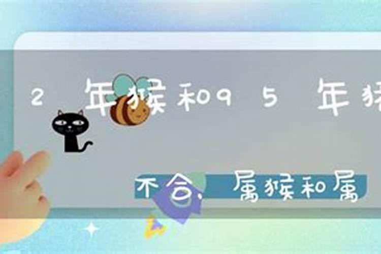 92跟95属相合不合