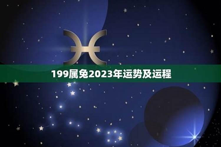 属兔2023年运势及运程爱情