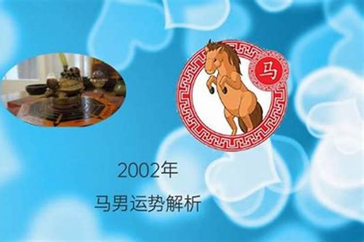 2002年属马的命运如何