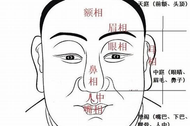 女人梦见烂白菜是什么预兆