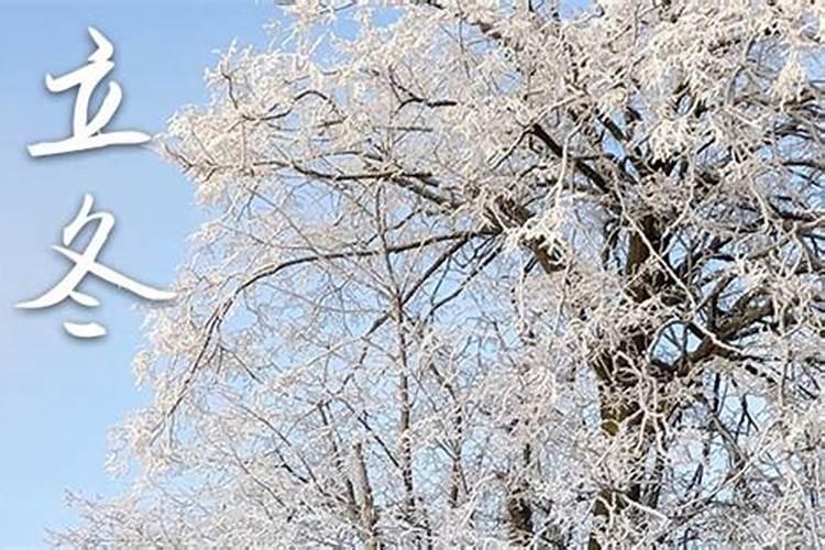 立冬节气吃什么食物最好