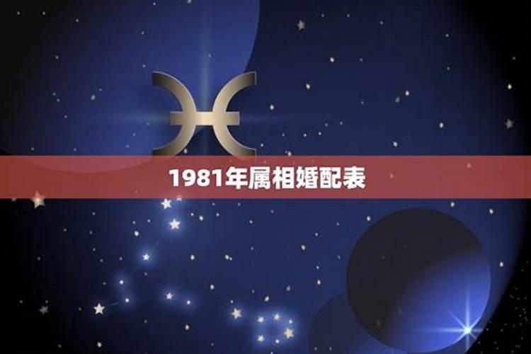 1981年属什么生肖的最佳配偶