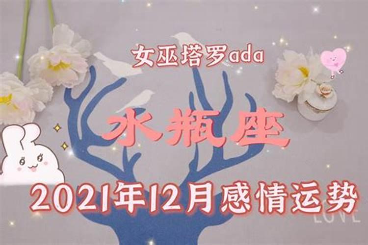 水瓶座近期感情运势12月