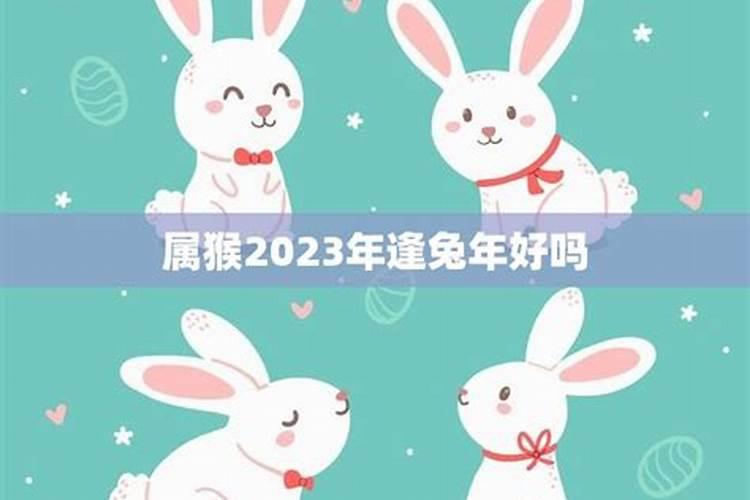 属猴兔年2023年运势及运程