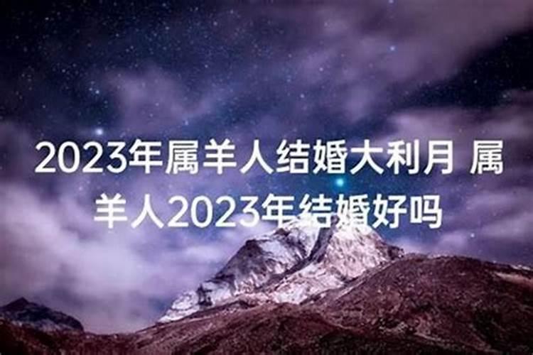 1979年属羊人今年婚姻怎么样