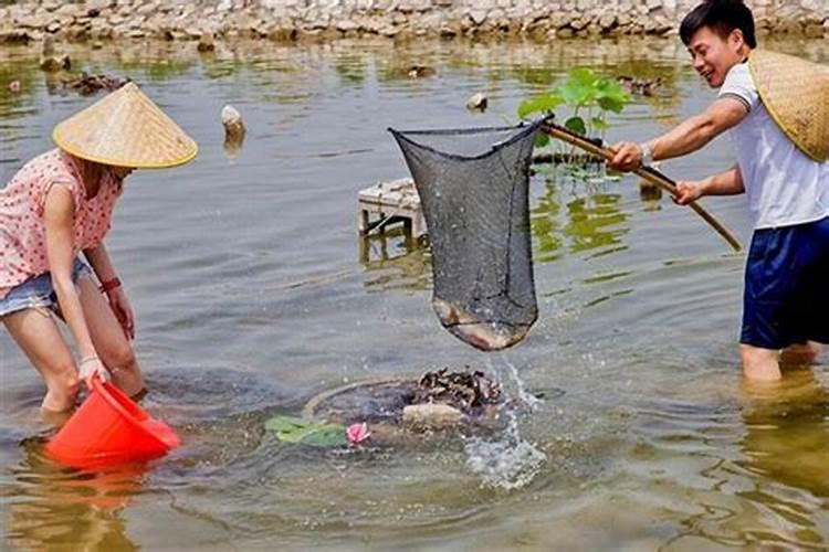 做梦梦到捉鱼了是什么意思