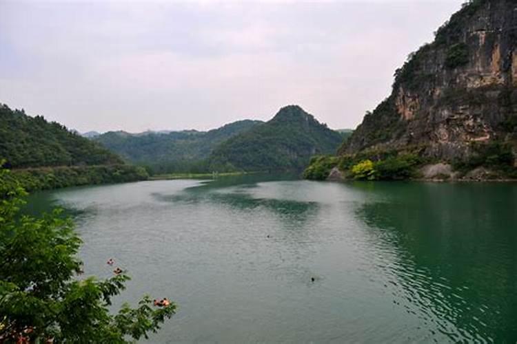 梦见一片绿油油的庄稼很茂盛什么意思