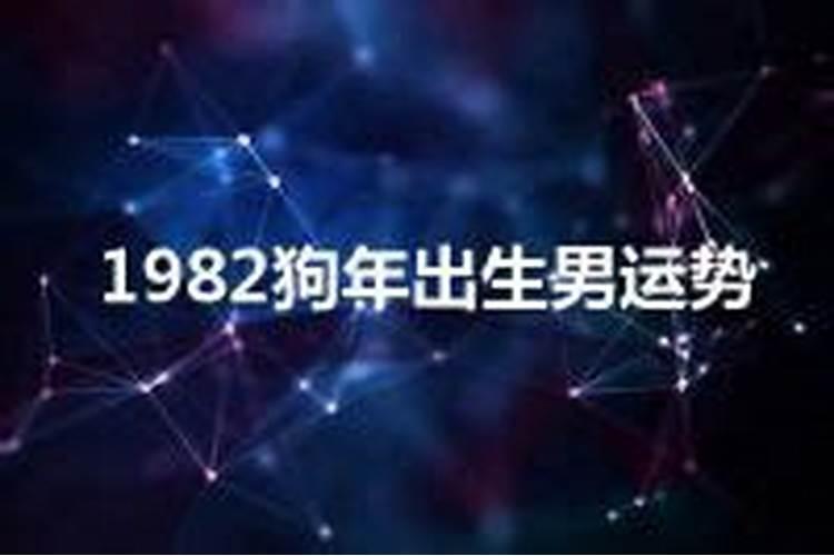 1982狗的运势如何