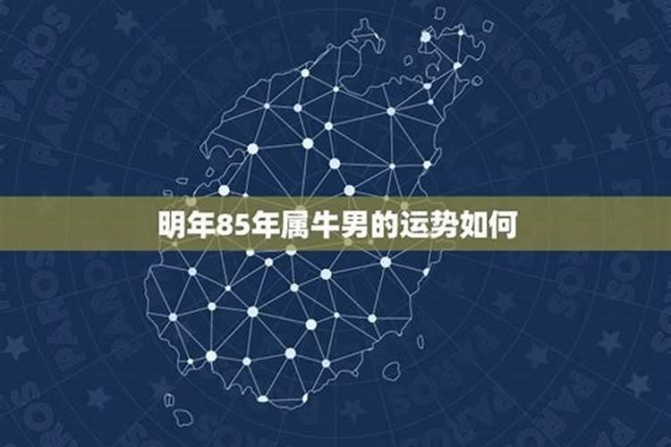 1996年农历7月16日出生运气