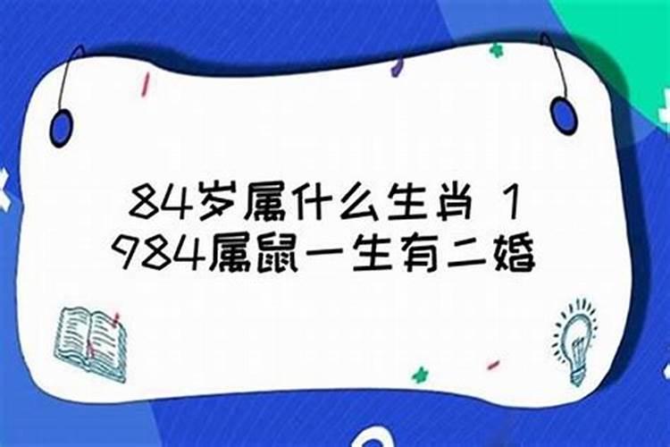 84年男鼠一生婚姻运程