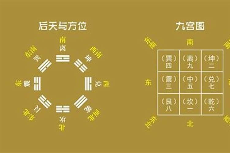 梦见前面的路都是水坑