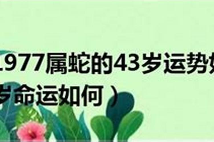 梦见老婆出轨预示着什么呢女性