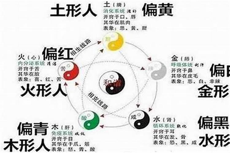 八字伤官是什么什么