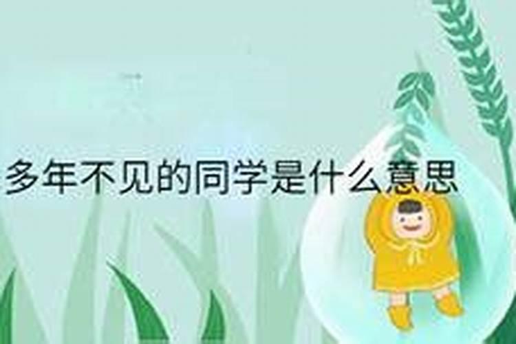 梦见多年没见老同学