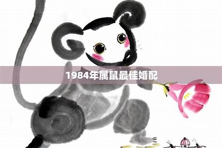 1984年属鼠婚姻配对龙鼠