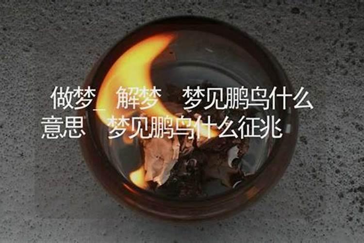 做梦梦到自己救了一只小鸟什么意思