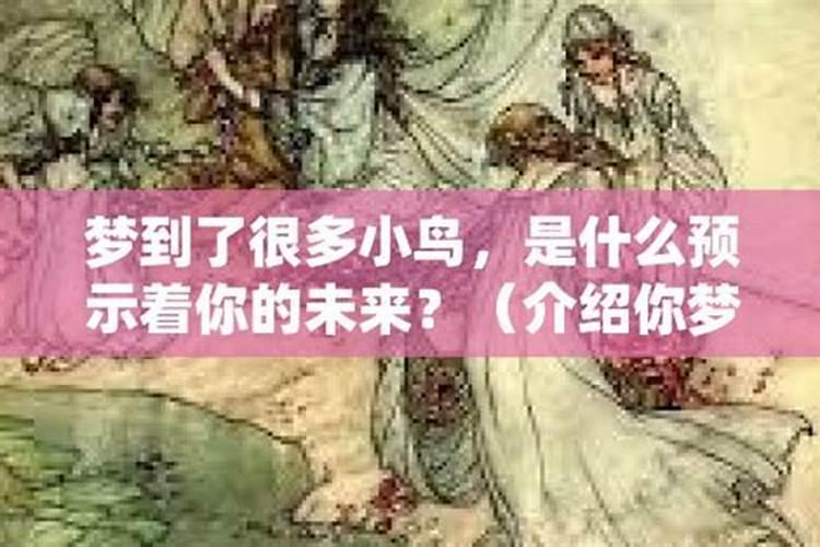 梦到救了一只鸟是怎么回事